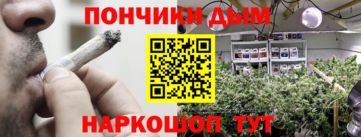 Сердобск  Марихуана семена  Конопля сатива  МАРИХУАНА ГИДРОПОН  Конопля SATIVA & INDICA  Вход с VPN 